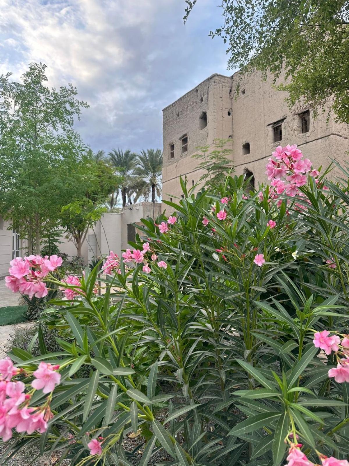 Al- Aqyr Rest Garden أستراحة حارة العقر Villa Nizwa Exteriör bild